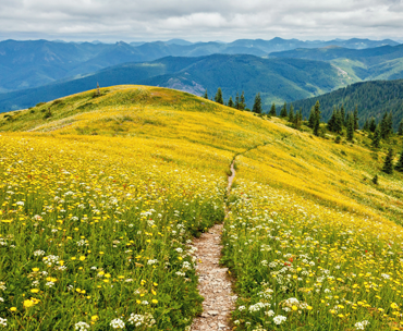 Comprehensive payroll services in Montana