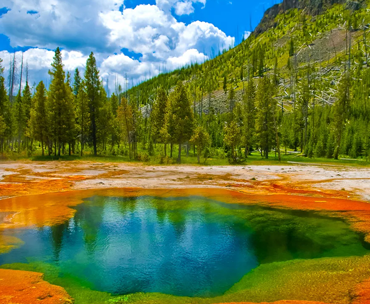 Advanced technology solutions for Montana businesses