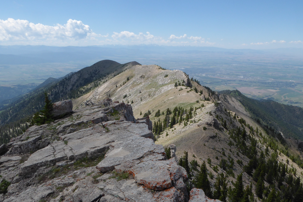 Scaling Smart: Practical Tech for Small Teams in Big Sky Country