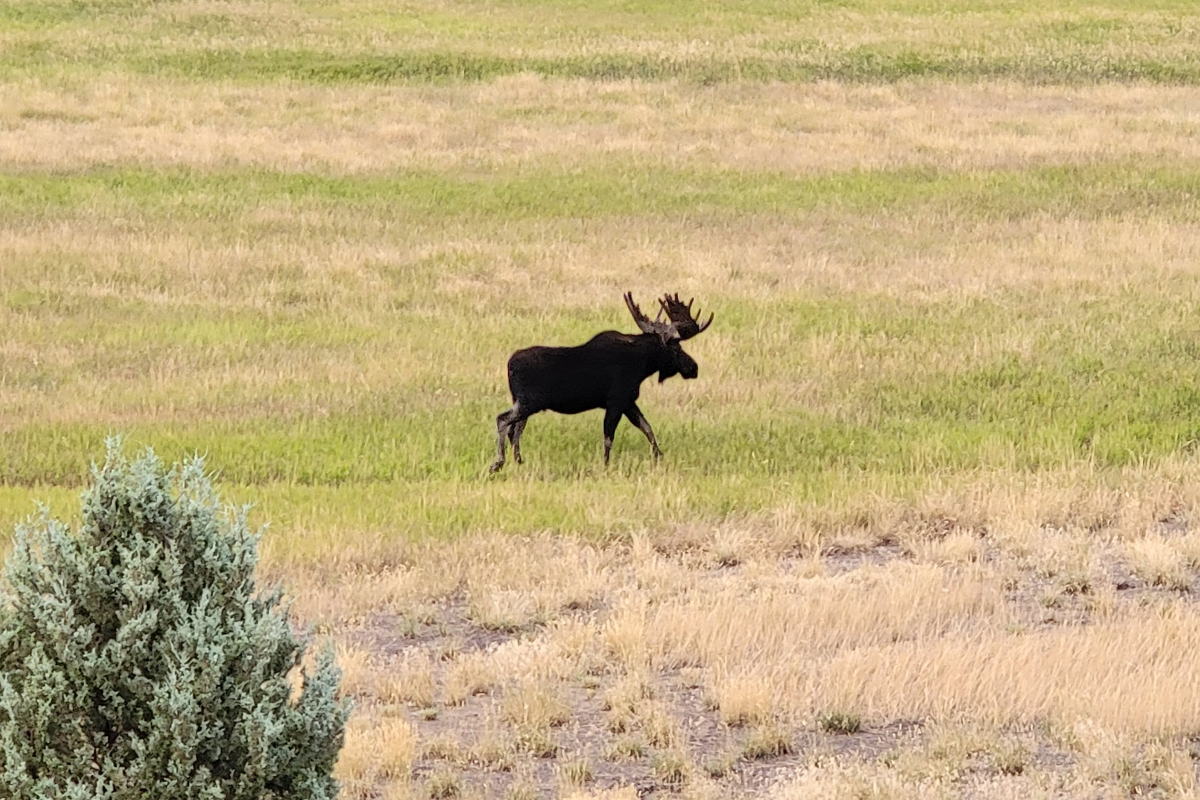 Finding the Right Bookkeeper for Your Small Business: Expertise, Efficiency, and Insight